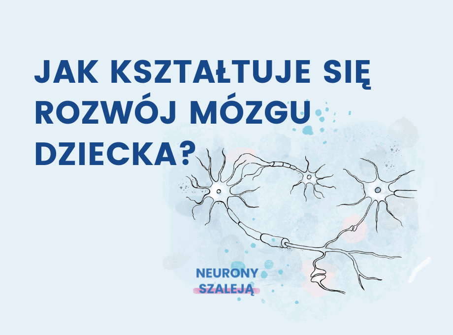 Jak kształtuje się rozwój mózgu dziecka?