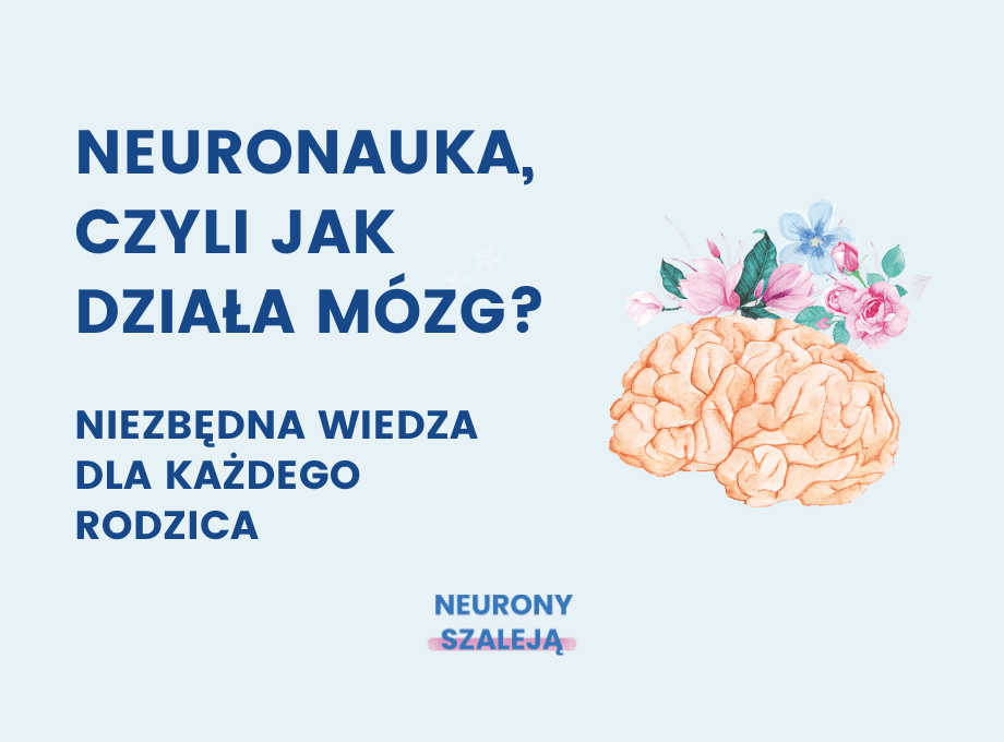 Neuronauka, czyli jak działa mózg – niezbędna wiedza dla każdego rodzica.